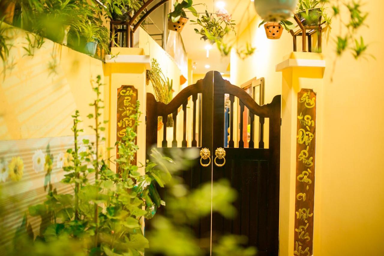 The View Homestay Hoi An Zewnętrze zdjęcie